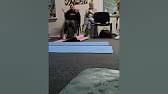 Video 2